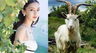 Tháng 12 ai đen cứ đen, 4 tuổi này lộc cát tinh chiếu mệnh, một bước đổi đời giàu sang trước Tết 2023