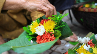 Sáng mùng 1 âm lịch: Thành tâm đặt 5 loại hoa này lên bàn thờ, tổ tiên phù hộ, cả tháng gặp may