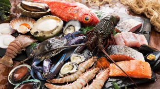 Top 4 loại hải sản tốt cho tim mạch, bạn nhất định không thể bỏ qua