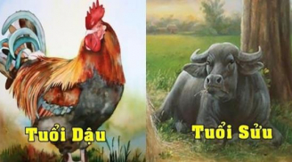 Chuột mù rơi hũ nếp: 4 tuổi này may mắn lên đỉnh, bước chân ra cửa là nhìn thấy tiền trong tháng 12 Âm