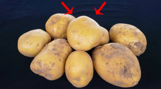 Đừng để khoai tây trong tủ lạnh: Làm theo cách này khoai để lâu vẫn tươi ngon, không mọc mầm