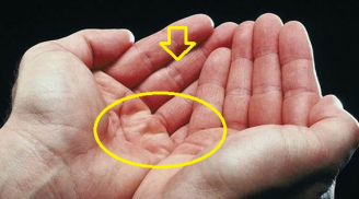 Thầy tử vi chỉ rõ: Lòng bàn tay có 6 dấu hiệu này là số mệnh phú quý, sớm muộn cũng phát tài