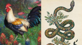 Số trời khó thoát: 3 cặp đôi hết Tam Tai đỏ cả Tình lẫn Tiền trong 4 năm tới, 1 cặp đôi thận trọng