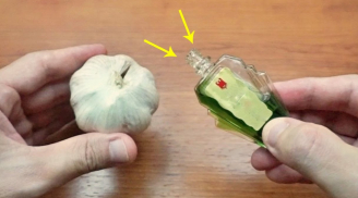 Nhỏ vài giọt dầu gió lên tỏi: Tác dụng không ngờ, nhà nào cũng cần