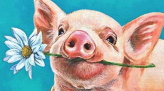Phật Bà ban lộc: 4 tuổi uống cạn lộc Trời, dễ trúng số đổi đời 5 năm tới
