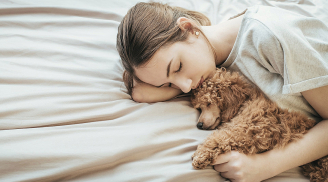 Ngủ với thú cưng: 5 lời khuyên hữu ích của chuyên gia khi ngủ cùng thú cưng