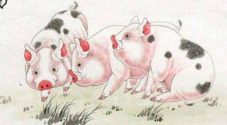 Mệnh Trời đã định: 4 tuổi là con nhà Phật dễ trúng số đổi đời, giàu sang tột đỉnh 3 năm tới