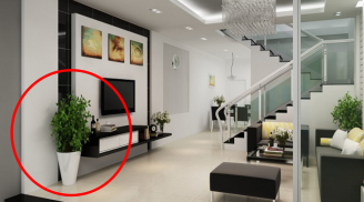 Các cụ dạy: Trong nhà có 3 thứ sinh sôi, tài lộc dồi dào, gia đạo hưng thịnh