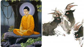 Đức năng cải số: 3 tuổi sinh ra được Phật Tổ độ mạng ăn ở hiền lương tiền bạc tự về tay
