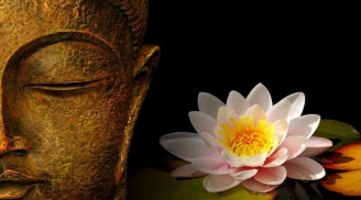 Nếu đang buồn và thấy cuộc đời vô nghĩa, bạn hãy thử làm 2 điều này
