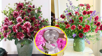 Cắm hoa chơi Tết đừng chỉ dùng nước lã: Thêm 1 thìa này vào bình, 10 ngày sau hoa vẫn tươi rói