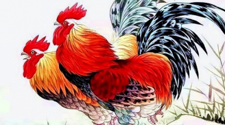 Từ hôm nay, 4 tuổi cá Chép hóa Rồng, một bước đổi đời tiền nhiều như nước