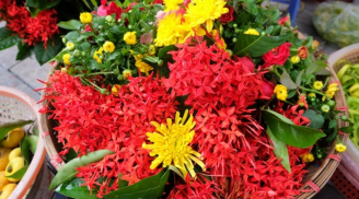 Đừng cúng hoa cúc, hoa ly mãi: Rằm tháng Giêng chọn đúng 5 loại hoa này, bề trên ưng bụng, tha hồ hưởng lộc