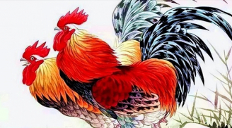Chuột rơi hũ nếp: 4 tuổi tài đức vẹn toàn, Phật Tổ chở che đỏ cả tình lẫn tiền 2 năm tới