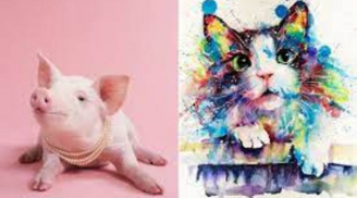 Đúng hôm nay 10/2: 3 con giáp được thần may mắn gõ cửa, tài lộc bùng nổ, giàu không ai sánh bằng