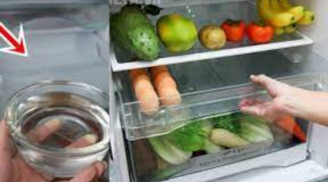 Đặt bát nước vào tủ lạnh qua đêm: Mẹo tiết kiệm điện vô cùng đơn giản, không phải ai cũng biết