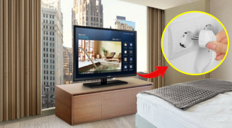 Lý do nên rút phích cắm tivi khi nhận phòng ở nhà nghỉ, khách sạn: Ai cũng cần biết
