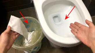 Nên vứt giấy vệ sinh vào bồn cầu hay thùng rác: Tưởng đơn giản nhưng không phải ai cũng biết đáp án đúng