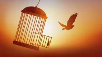 Sống ở đời, người học được 2 điều này họa tự rời xa, may mắn không cầu mà đến