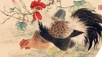 Cá Chép hóa Rồng: 4 tuổi đón lộc giàu sang, phất lên ầm ầm trong 3 năm tới