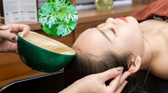 Gội đầu 1 tuần bằng lá ngải cứu đun sôi nhận lại được 4 lợi ích đặc biệt, từ ngoại hình đến sức khỏe