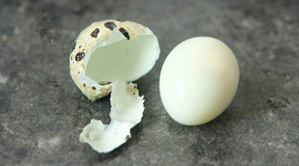 Luộc trứng cút đừng thả thẳng vào nồi: Thêm 2 bước này vỏ trứng tự động bong ra sạch sẽ