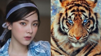 Sổ Thiên mệnh đã định: 3 con giáp cuối tháng 3 rũ sạch vận xui, sang tháng 4 tiền tự chảy về túi