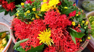 Đừng cúng hoa cúc, hoa ly mãi: Dâng 6 loại hoa này phúc lộc tràn trề, mùng 1 thắp hương cả tháng may mắn