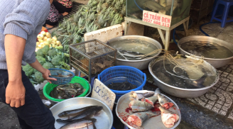 Người bán cá tiết lộ: 6 loại cá biển tự nhiên, tươi ngon, giàu dinh dưỡng người sành ăn toàn tranh nhau mua