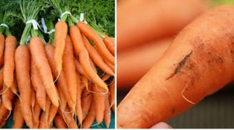 Đi chợ thấy 3 loại cà rốt này đừng mua, tưởng ngon nhưng ăn rất chán, lại khó bảo quản lâu