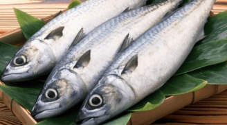 Người bán cá 20 năm tiết lộ: Đi chợ thấy 5 loại cá này mua ngay, cá tự nhiên sạch 100% không hóa chất