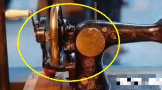 Tổ Tiên cặn dặn: 'Tứ vật không vào nhà gia đình thịnh vượng, con cháu giỏi giang', 4 thứ đó là gì?