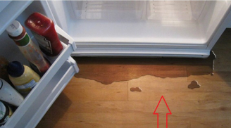 Tủ lạnh bị chảy nước: Đừng vội gọi thợ làm ngay cách này giúp tủ hoạt động tốt, chẳng tốn tiền oan
