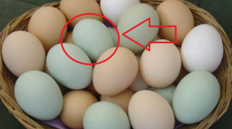 Mua trứng vịt nên chọn vỏ trắng hay vỏ xanh: Đây mới là loại trứng chuấn, siêu ngon mà nhiều người không biết