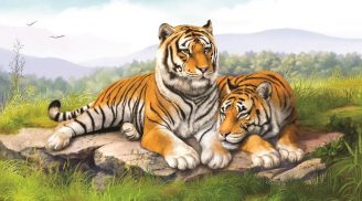 Tháng 5 dương cá chép hóa Rồng: 3 con giáp trúng số đổi mệnh, phát tài phát lộc, đếm tiền không ngơi tay