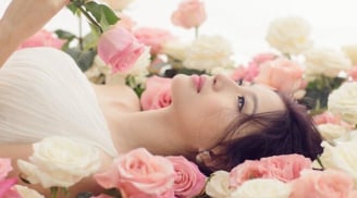 Bật mí 6 cách chăm sóc da bằng hoa hồng cho một làn da mịn màng và trắng sáng
