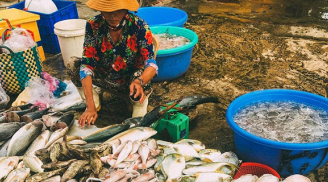Đi chợ thấy 5 loại cá này nên mua ngay: Đảm bảo cá tự nhiên, thịt ngon lại nhiều dinh dưỡng