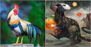 3 con giáp đỏ nhất 6 tháng cuối năm 2023, tiền về chật két, 1 tuổi cẩn trọng trắng tay