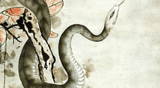 Phật Bà cho lộc: 4 con giáp nửa đầu tháng 5 Thần Tài gõ cửa, giàu có kéo đến ào ào
