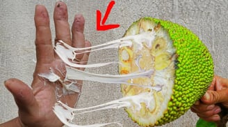 Ngại dùng tay bóc mít: 4 cách sau khiến nhựa mít không còn dính, rửa nhẹ là sạch tinh