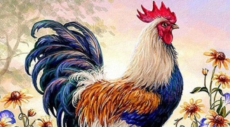 10 ngày cuối tháng 3 Âm: 4 tuổi may mắn đổi đời, tài khoản nảy số ầm ầm