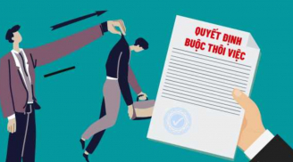 6 trường hợp công chức đương nhiên bị buộc thôi việc