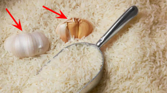 Vùi củ tỏi vào thùng gạo mang đến lợi ích bất ngờ, biết công dụng ai cũng muốn học theo