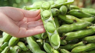 Loại hạt như “viên bổ não” nấu lên ăn ngon hơn thịt, đạm cao gấp 2 lần trứng: Đi chợ thấy nhớ mua ngay