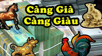 Phú quý đến muộn: 4 con giáp khổ trước sướng sau, càng già càng lắm tiền nhiều của