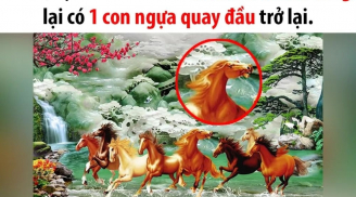 Bức tranh phong thủy “Mã đáo thành công” luôn có một con ngựa quay đầu: Tại sao lại vậy?
