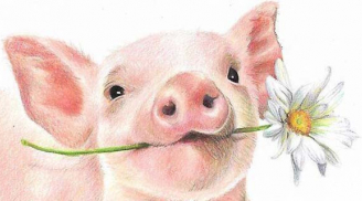 Phật độ tận nơi: Từ ngày mai 4 tuổi này đổi đời lên hương, giàu chóng mặt
