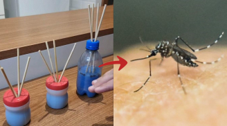 Mẹo pha dung dịch diệt ruồi muỗi từ 3 nguyên liệu nhà nào cũng có: Cực dễ làm lại giúp nhờ thơm mát