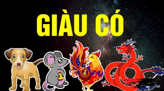 Ở xời lởi Trời cởi ra cho: 4 tuổi có tài có đức, dễ may mắn đổi đời 2 năm tới