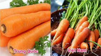 Người trồng rau tiết lộ: Cách phân biệt rau, củ của Việt Nam và Trung Quốc, tinh ý sẽ không bao giờ nhầm lẫn